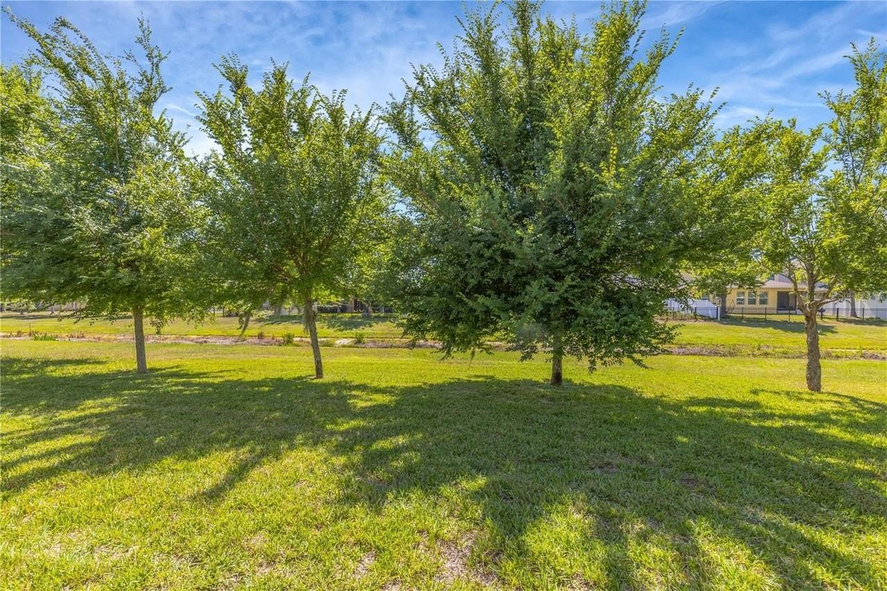 11607 Warren Oaks Pl - Photo 7 of 49