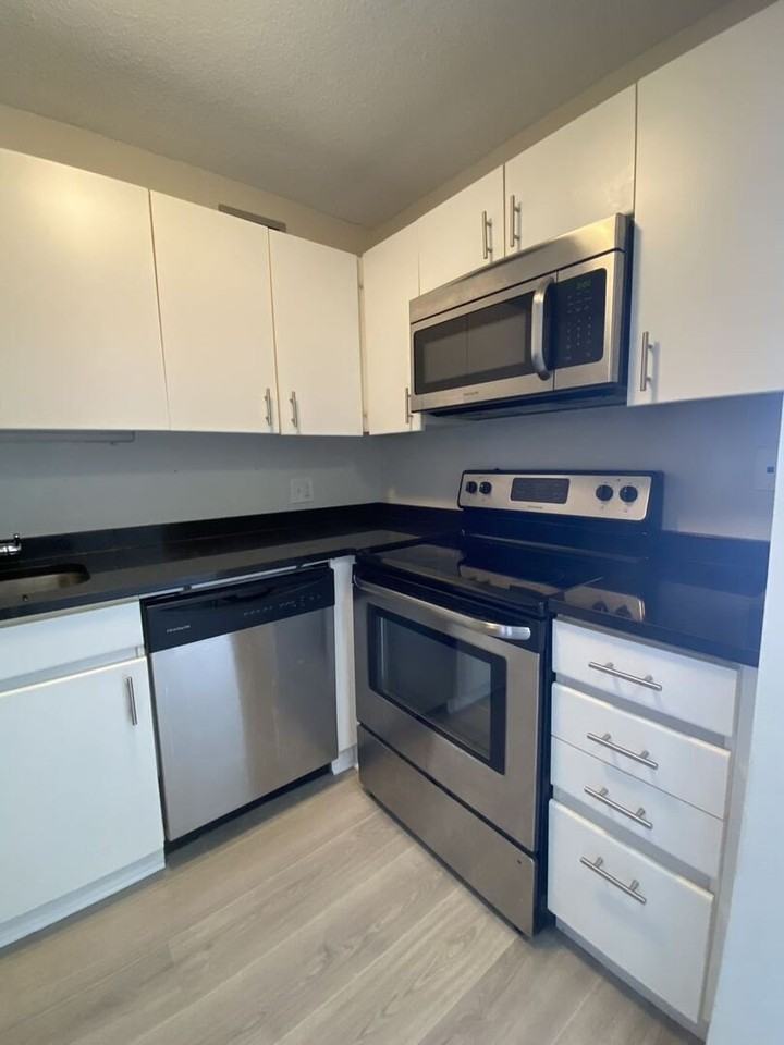 440 N Wabash Ave #2901 - Photo 6 of 13
