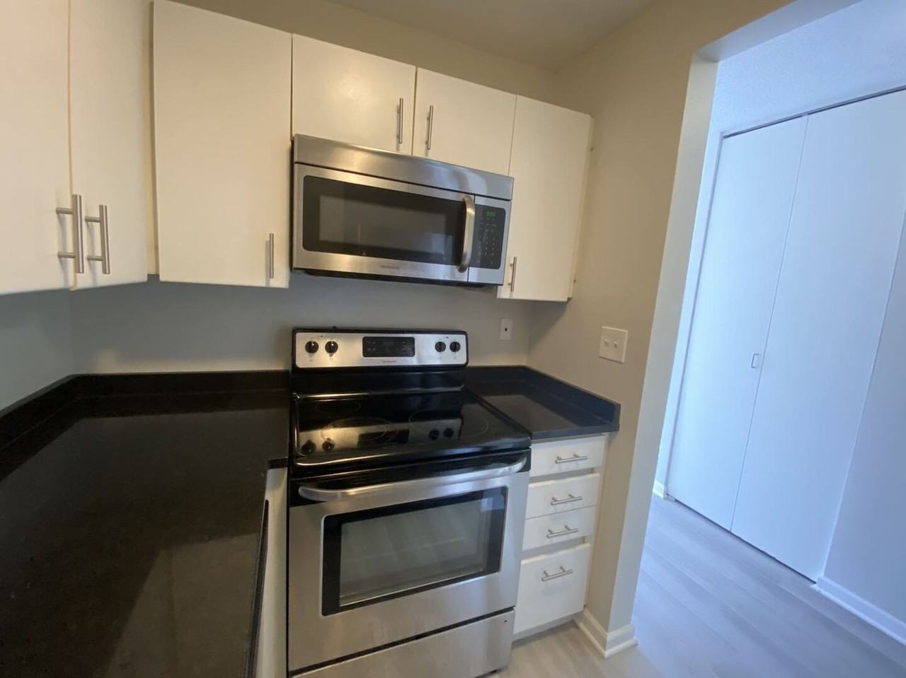 440 N Wabash Ave #2901 - Photo 7 of 13