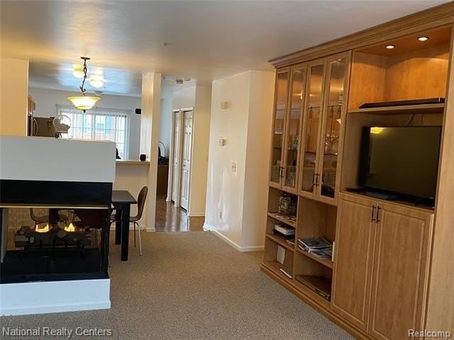 39431 Springwater Dr - Photo 3 of 26