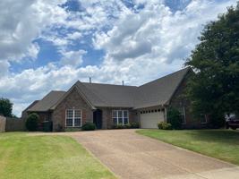 featured image of 7835 Anna Calla Way