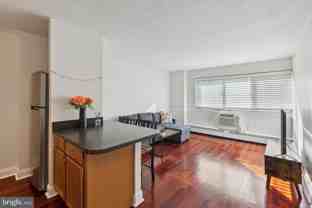 210117 Chestnut St #1412 - Photo 1 of 1