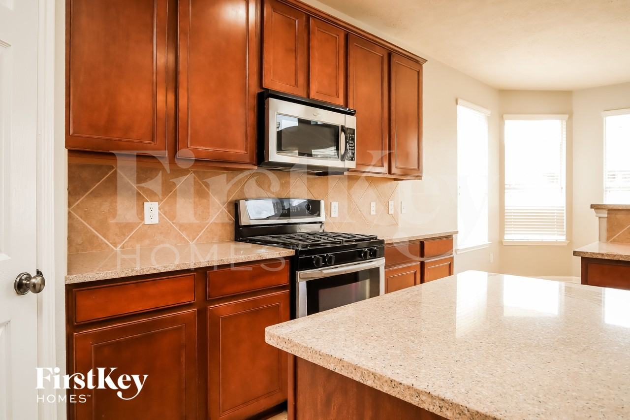 14419 Stonebury Trail Ln - Photo 6 of 16