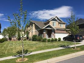 3325 N Redshoulder Dr - Photo 1 of 1