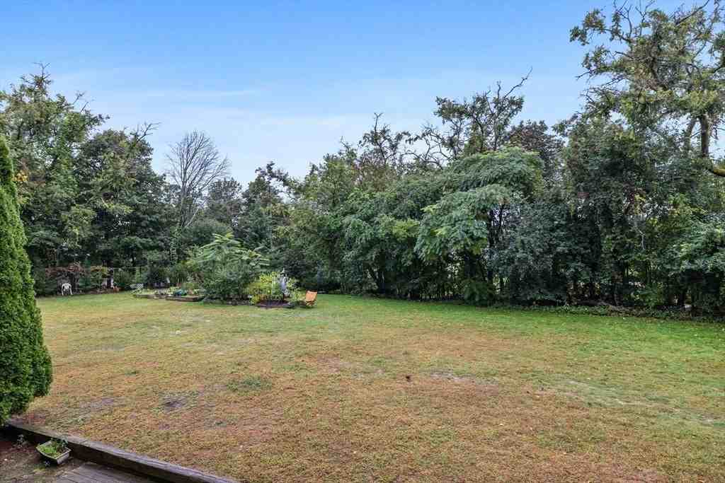 141 Savin Hill Ave - Photo 5 of 12