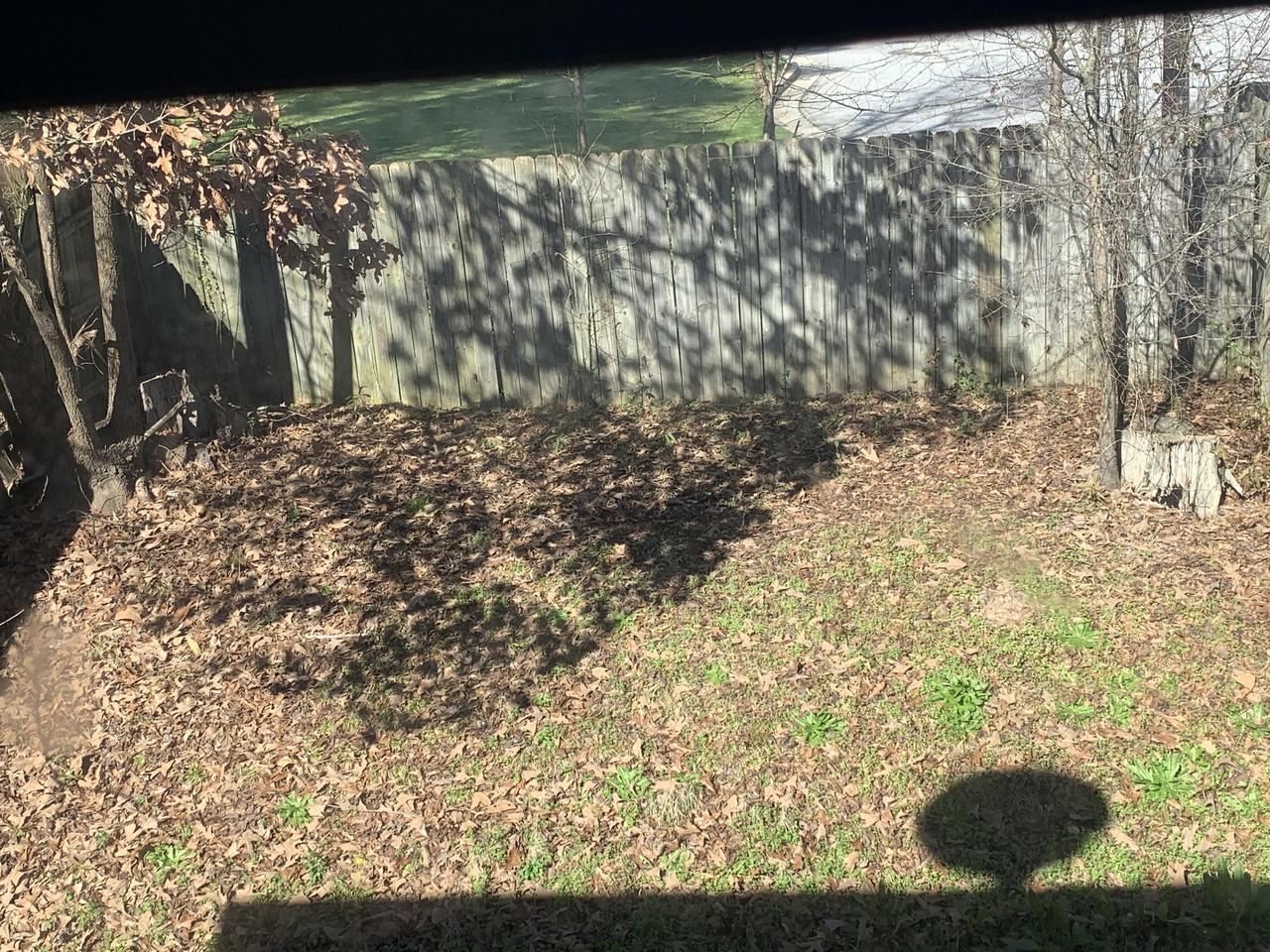 417 Patrick Henry Ct #1 - Photo 7 of 22