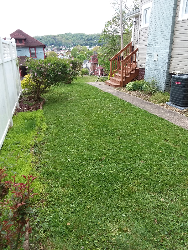 716 Hazel Ave - Photo 4 of 23