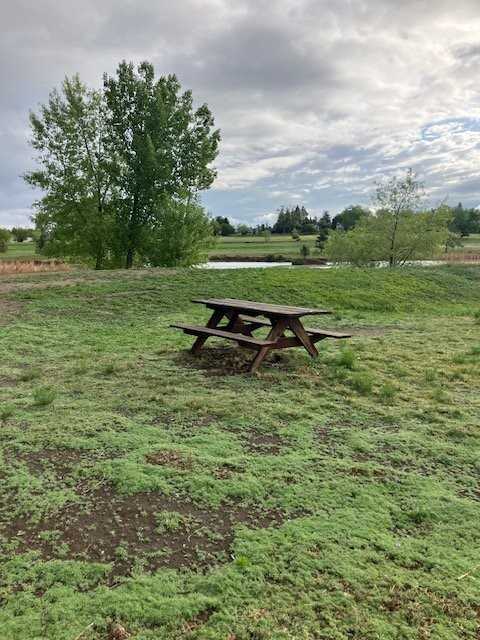 2636 Terry Lake Rd - Photo 6 of 18