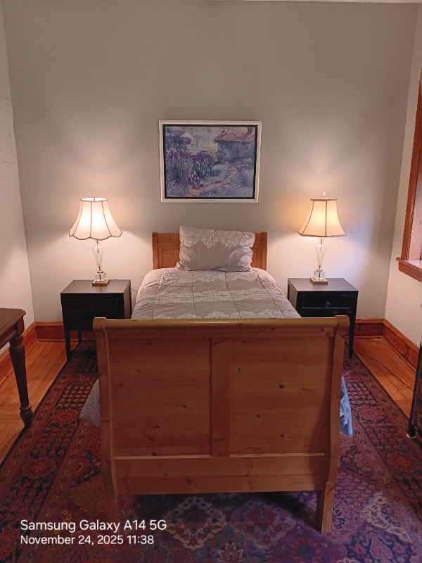 552 N Lawler Ave #1stFL - Photo 4 of 9