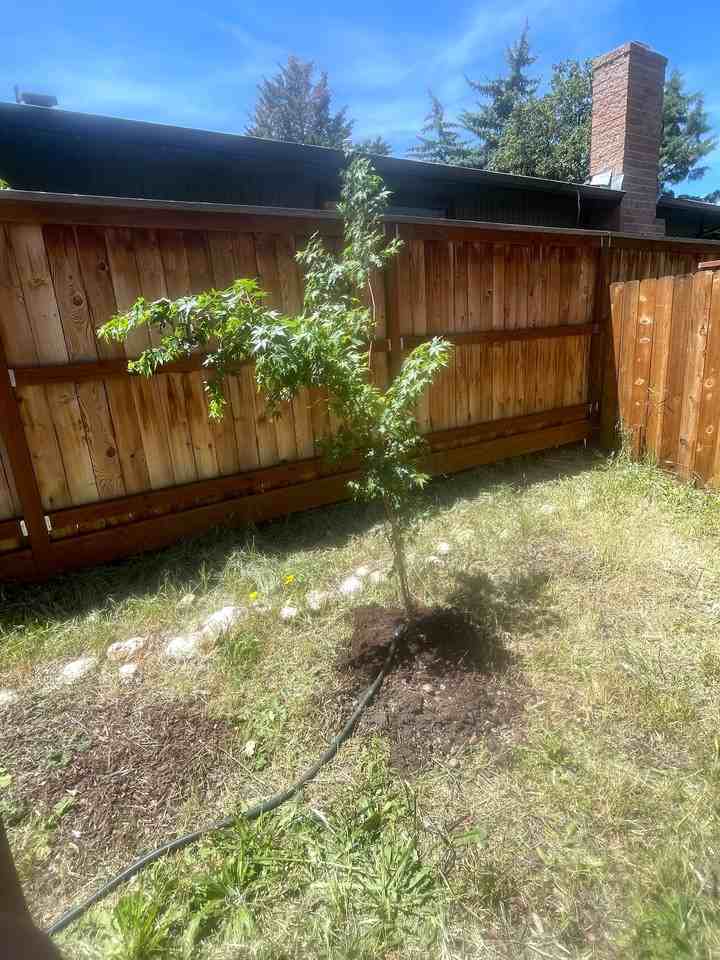 91 Randy St - Photo 7 of 8
