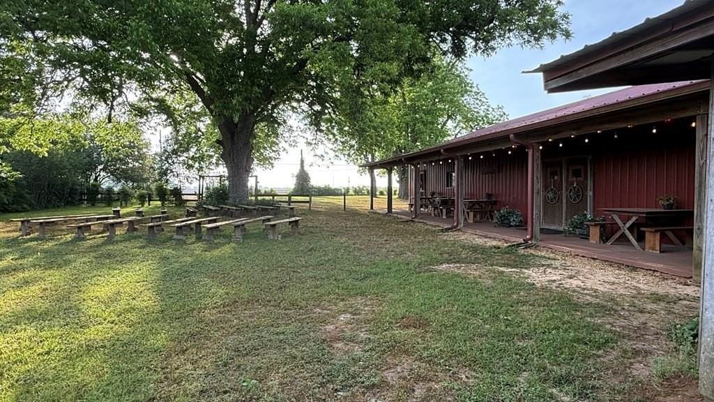 2424 Co Rd 12 (Mance Newton) - Photo 4 of 4