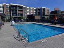 Chestnut Hill North Apartments - Photo 1 of 1