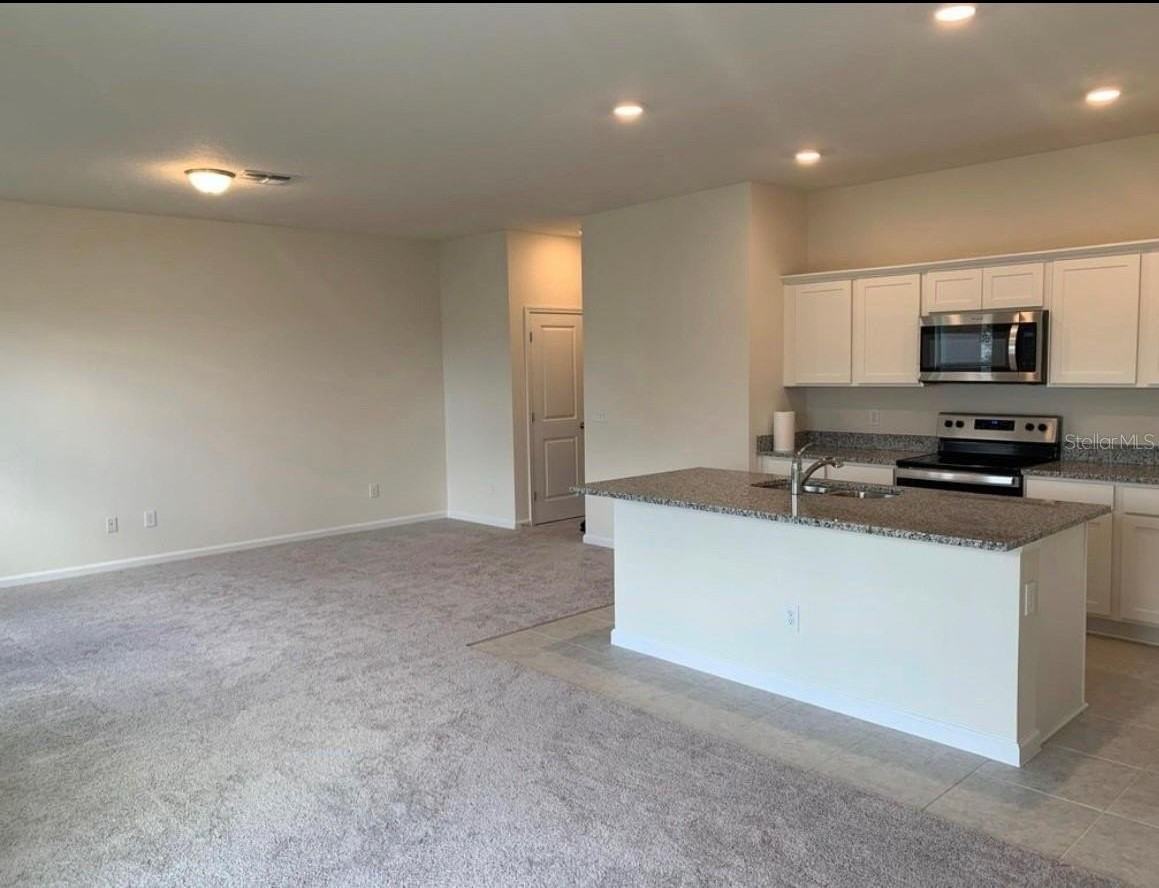 2257 Litchfield Loop - Photo 3 of 17