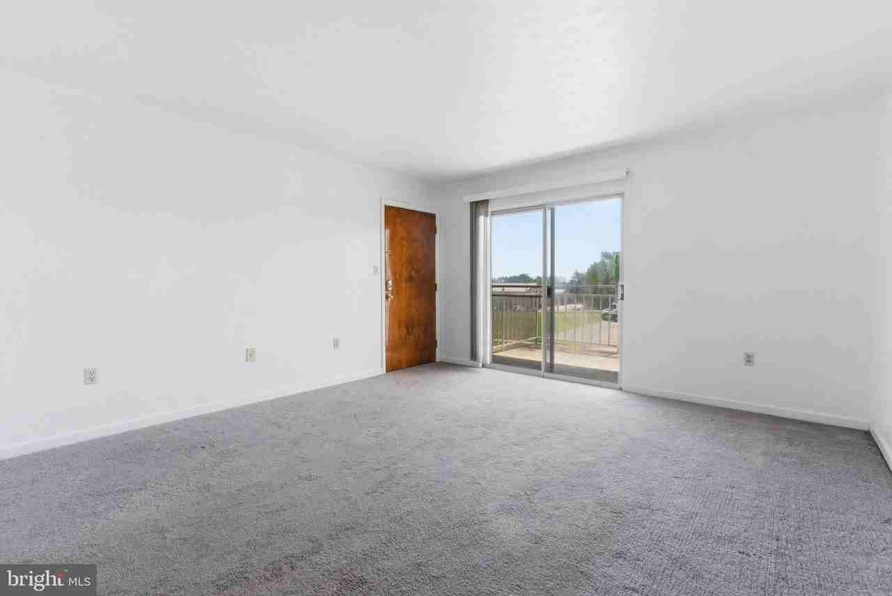 820 Locust St #6 - Photo 5 of 20