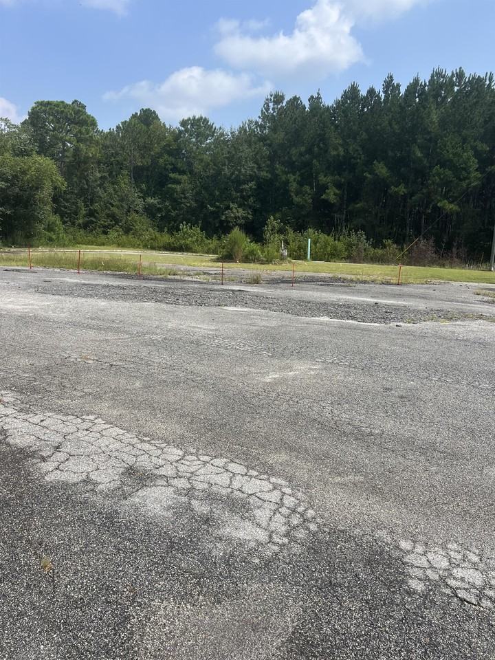 5195 Georgia HWY 196 - 1 #1 - Photo 4 of 10