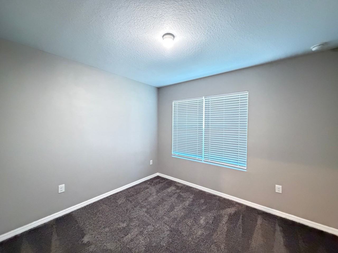9692 Pepper Tree Trl - Photo 6 of 31