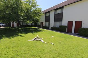 featured image of 10310 El Camino Real #2