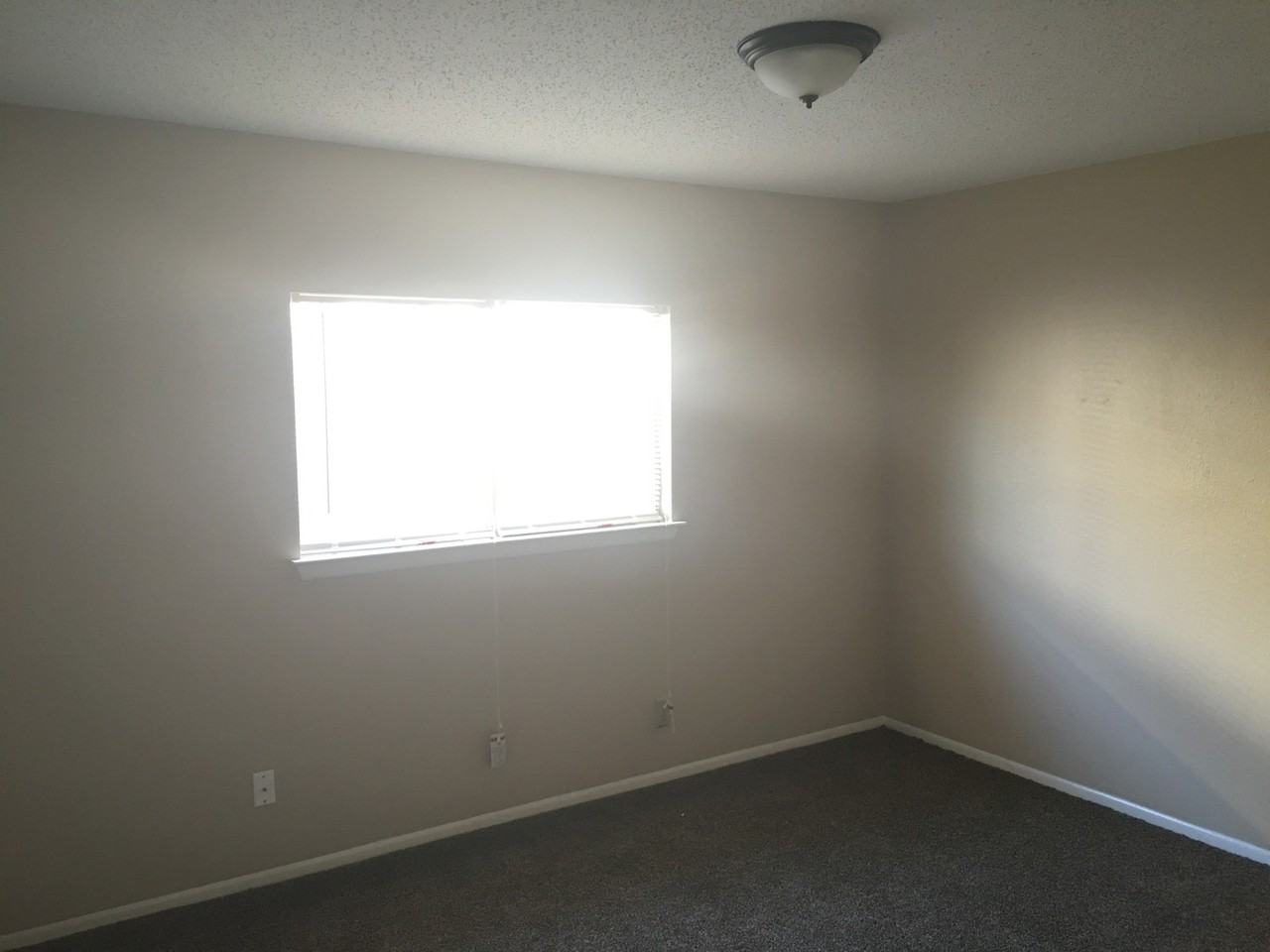 8251 Sunshine Trail Dr - Photo 6 of 9