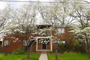 featured image of 210 Cox Ave