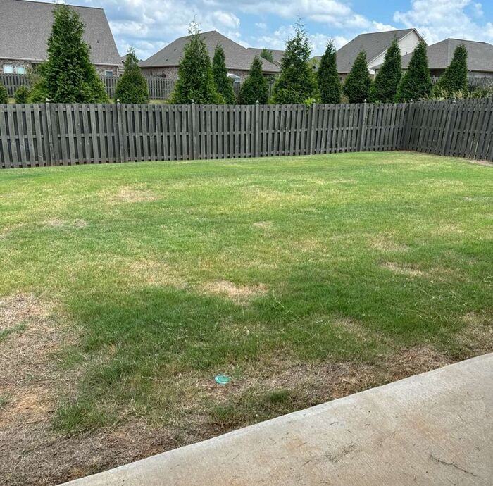 216 Brighton Park Way - Photo 3 of 29