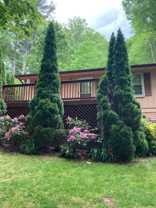 809 Bee Tree Rd #NA - Photo 1 of 1