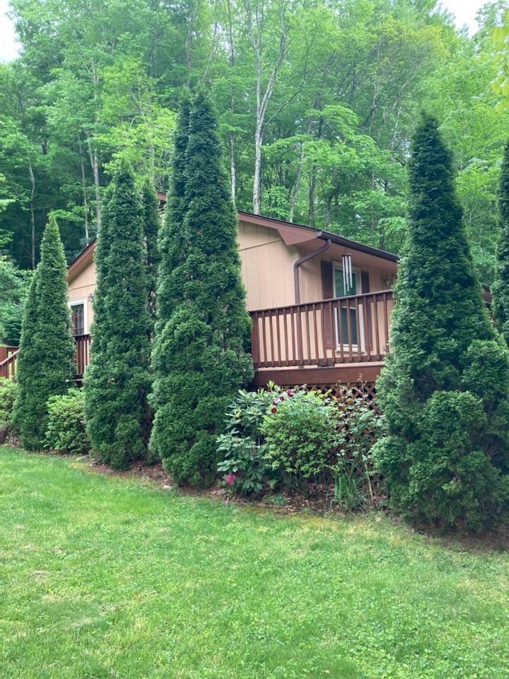 809 Bee Tree Rd #NA - Photo 2 of 19