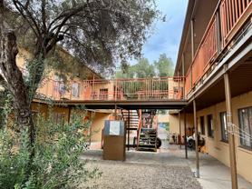 Olive Tree Apartments - Photo 1 of 1