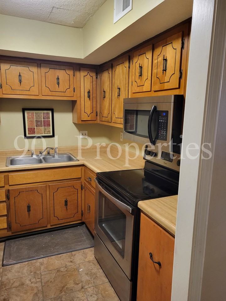 3389 Lord Dunmore Cv #1 - Photo 3 of 11