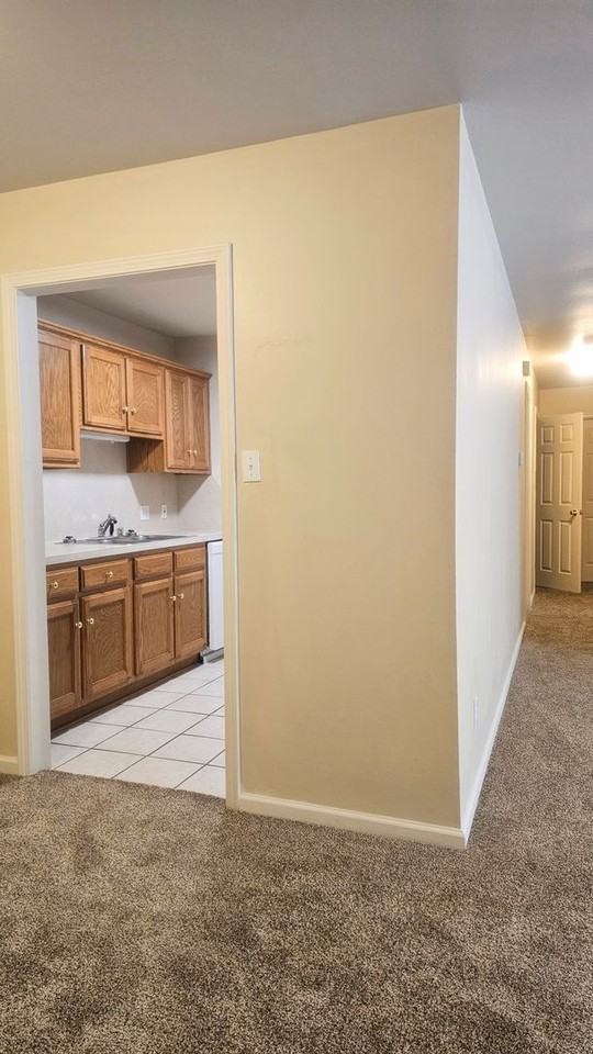 5555 Springvale Apartments - Photo 4 of 23
