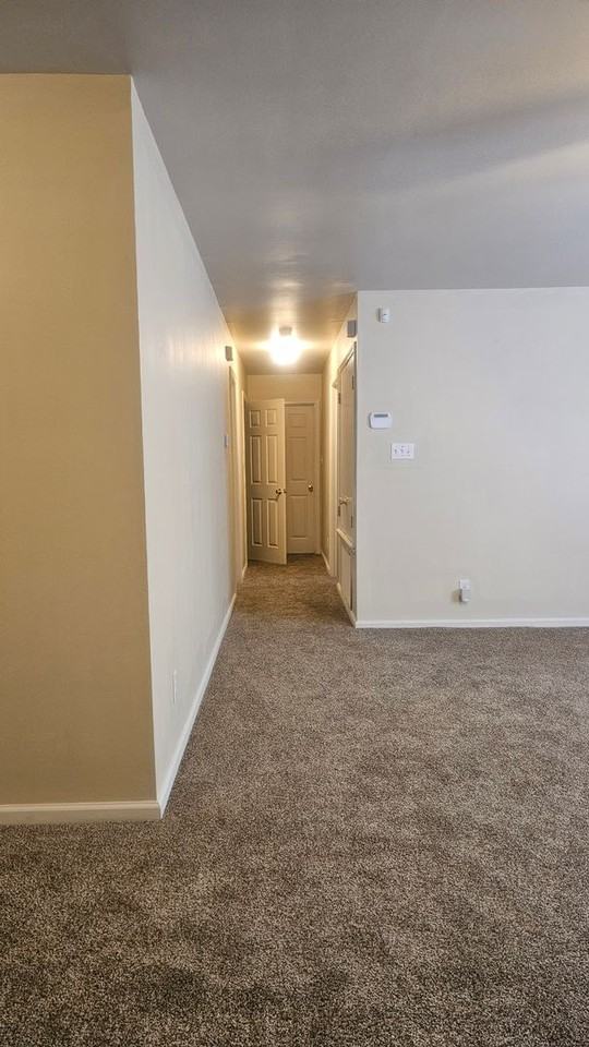 5555 Springvale Apartments - Photo 5 of 23