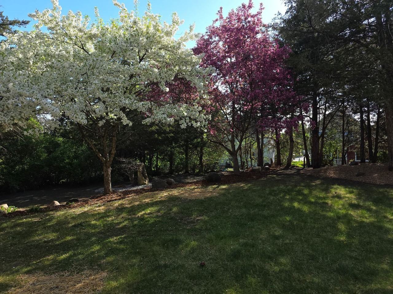 22 Springbrook Bay - Photo 2 of 14