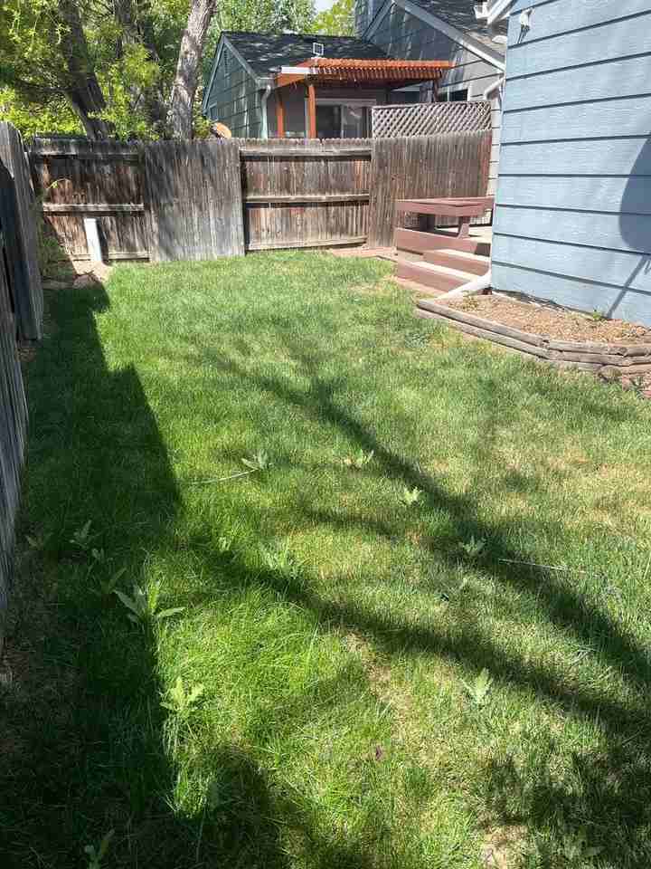 1623 Ervine Ave - Photo 6 of 20