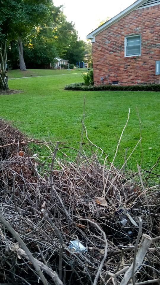 3359 Bedford Ln - Photo 2 of 9