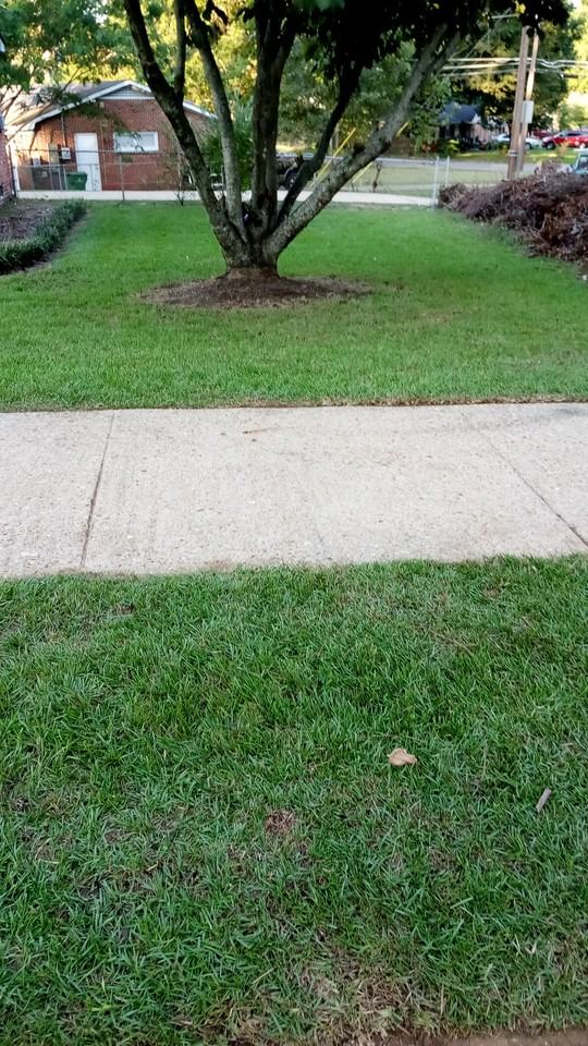 3359 Bedford Ln - Photo 7 of 9