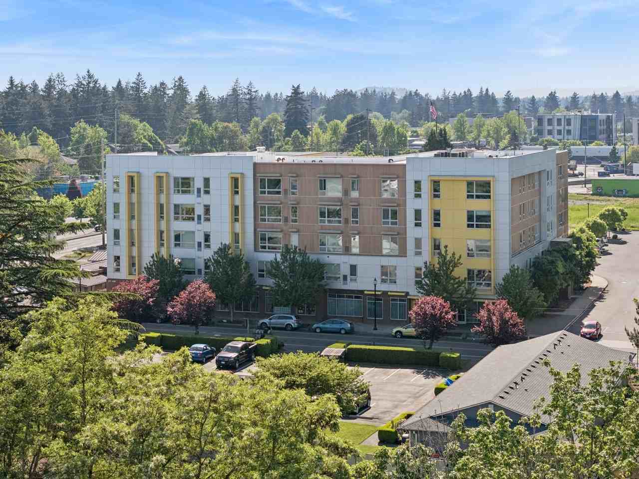 459 Rock Apartments - Photo 5 of 50
