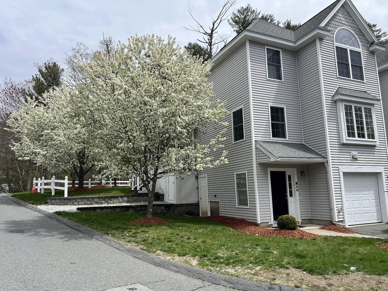 100 Nutting Rd #A1 - Photo 5 of 19