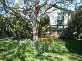 featured image of 418 Chukar Ct #1