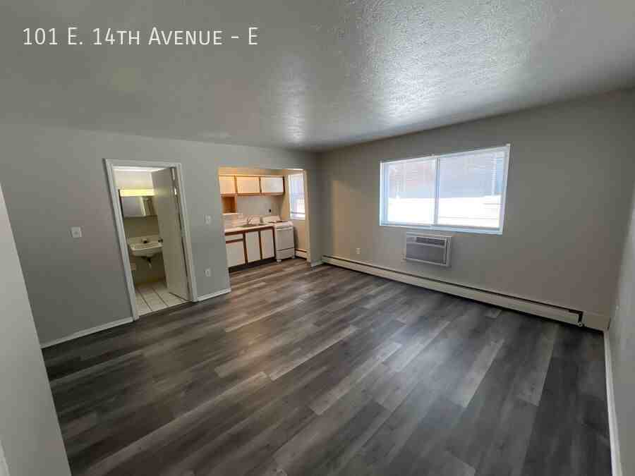101 E 14th Ave #E - Photo 4 of 11