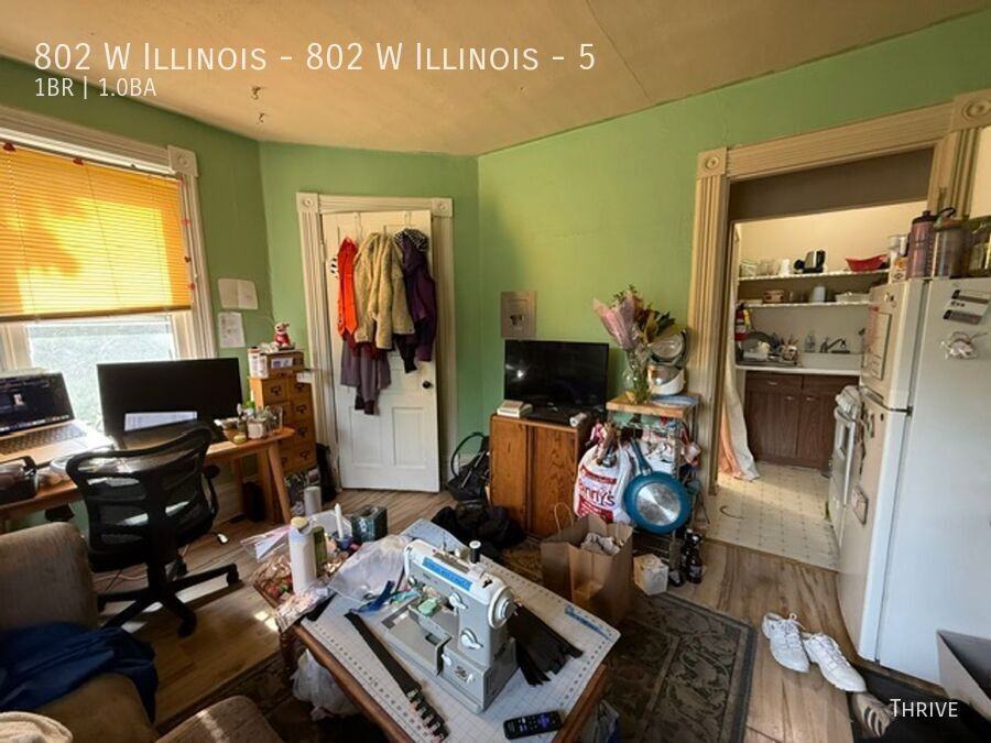 ILLINOIS & #5 - Photo 3 of 6