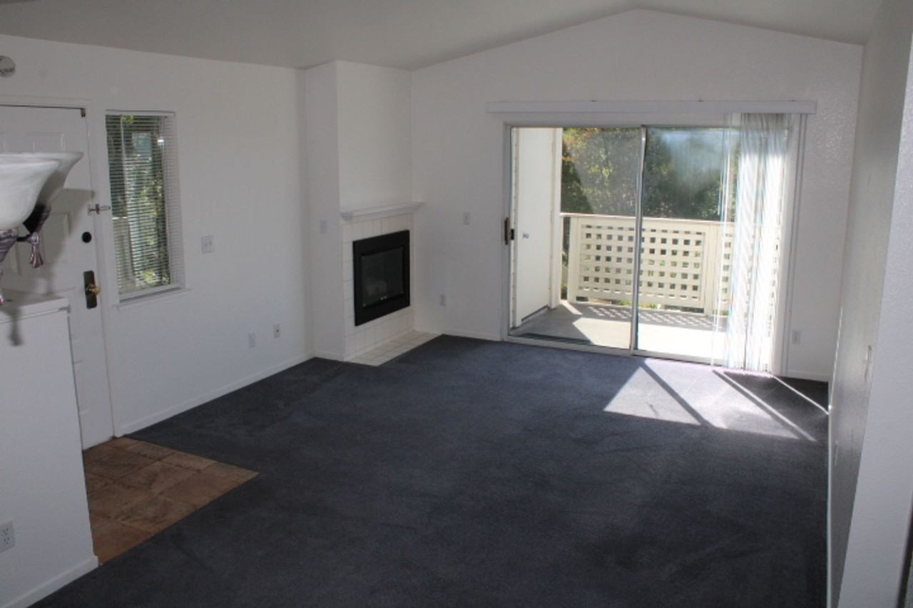 258 Napoli Ct - Photo 4 of 43
