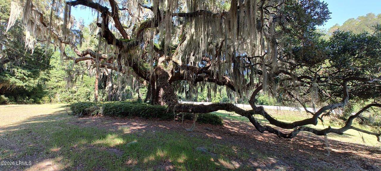 967 Sea Island Pkwy - Photo 3 of 25