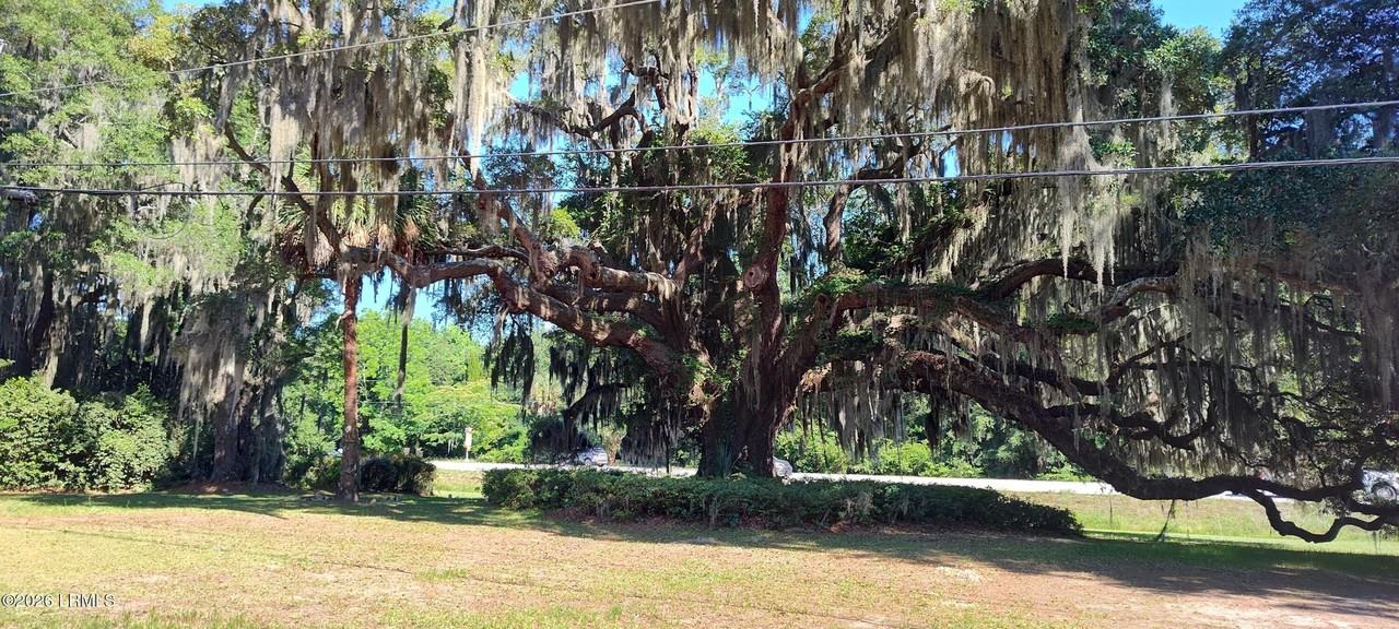 967 Sea Island Pkwy - Photo 4 of 25