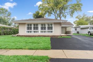 featured image of 388 Nancy Ln