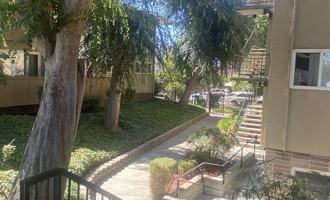 featured image of 959 Torrano Ave