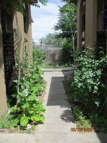 1804 Mary Ellen St Ne #D - Photo 1 of 1
