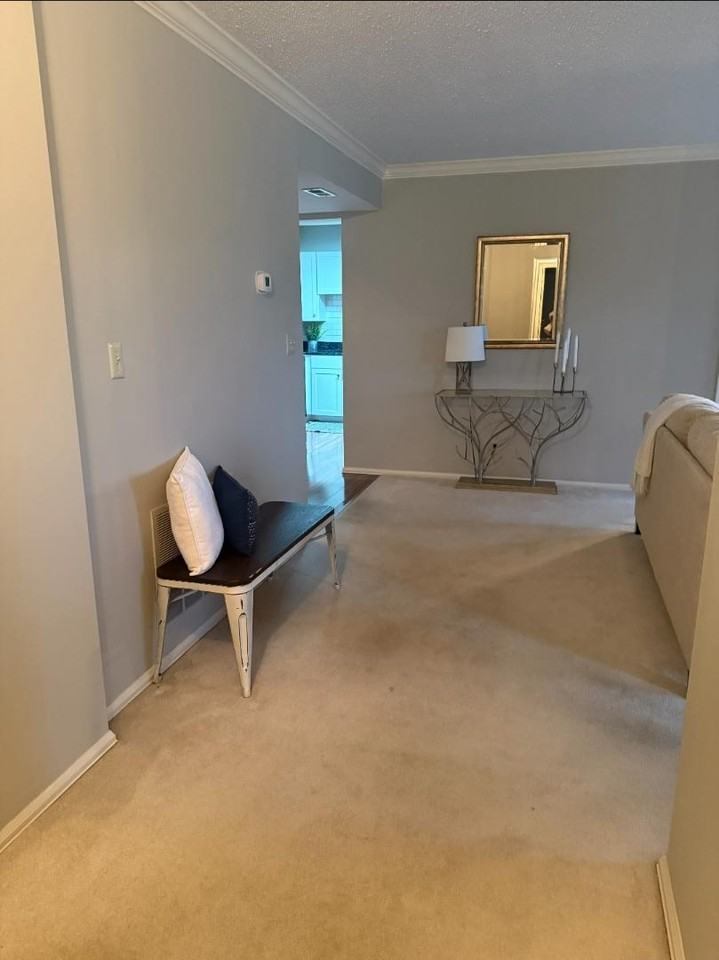 312 Clayton Crossing Dr - Photo 4 of 11