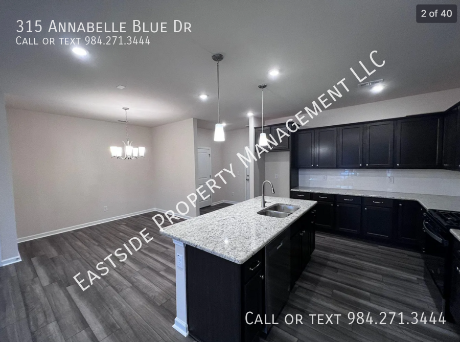 315 Annabelle Blue Dr - Photo 2 of 18