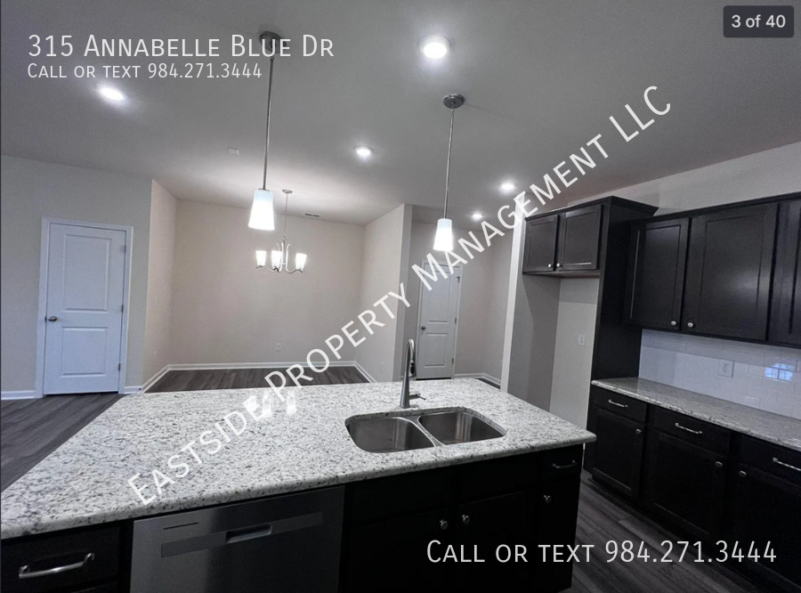 315 Annabelle Blue Dr - Photo 3 of 18