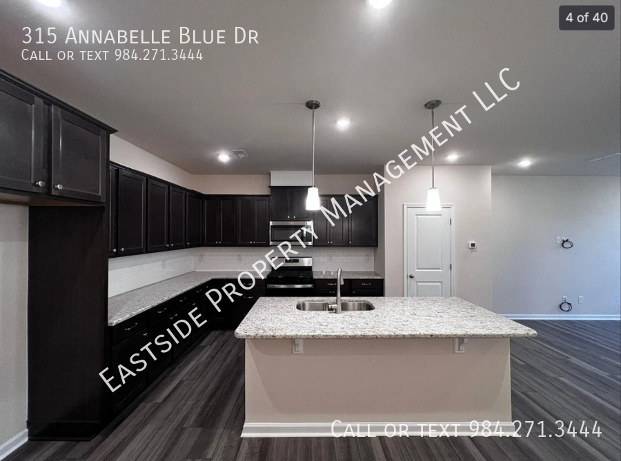 315 Annabelle Blue Dr - Photo 4 of 18