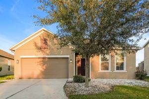 featured image of 10141 Celtic Ash Dr